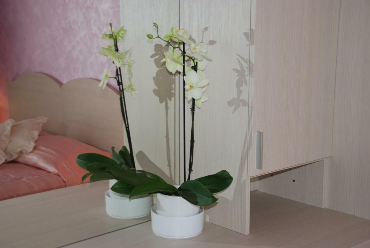 Rooms Edda Savudrija Zewnętrze zdjęcie